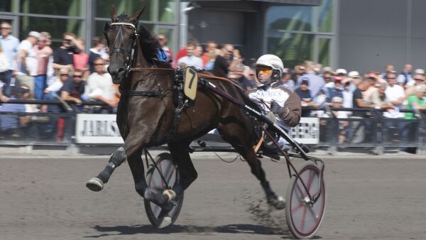 Nok en dronning legger opp