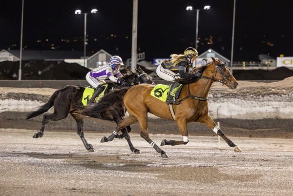 Kontrollert for andrevalget