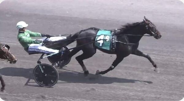 Fikk bror til Ecurie D.