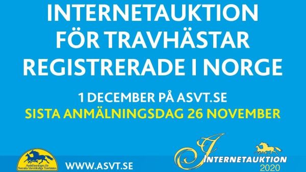 Norsk internettauksjon