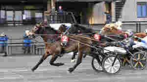 Trygg styring fra Vidar holdt helt inn