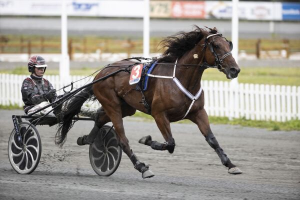 Favoritter i fare på Bergen Travpark. Klink banker på Harstad