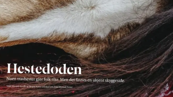 DNT ville ha avtale med Aftenposten