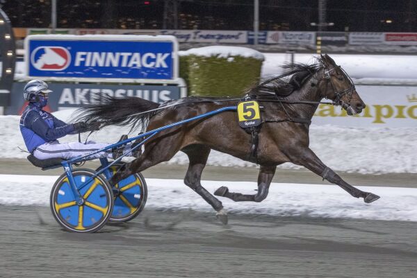 Hamre show på Bjerke