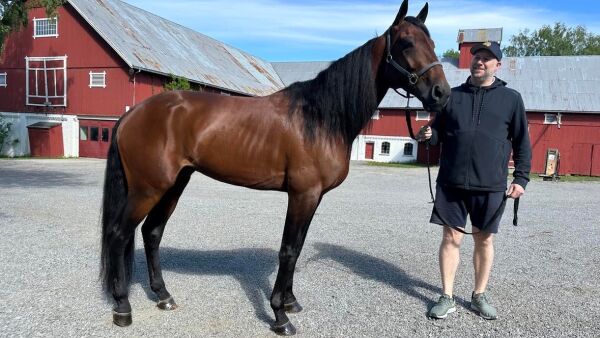 Langli inn i Bjerke-styret