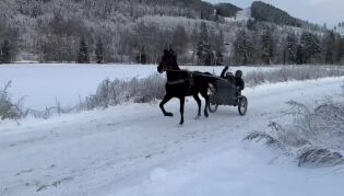 Magnhild