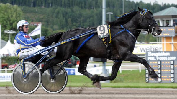 Vant i retten, topphingst død og gir seg som trener