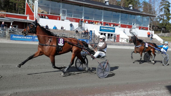 En med god sjanse og en outsider