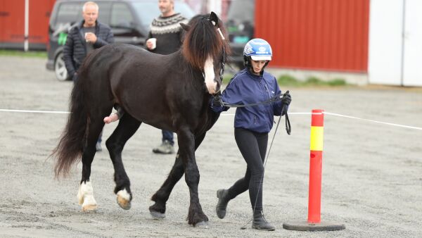 Her følger du finalen og kåringen