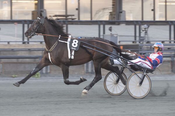 - Leder rundt om