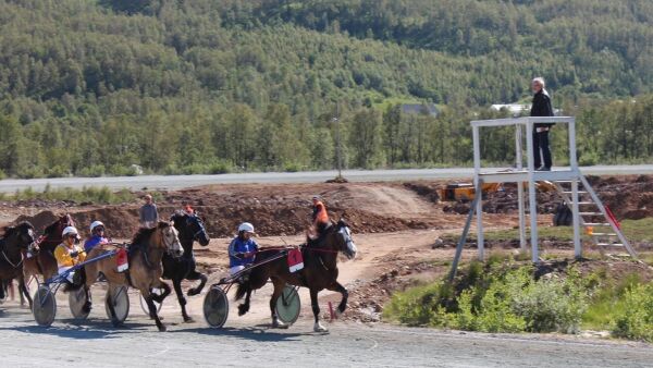 Mener rideklubb kupper travlag