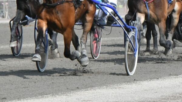 Reagerte etter påminnelse