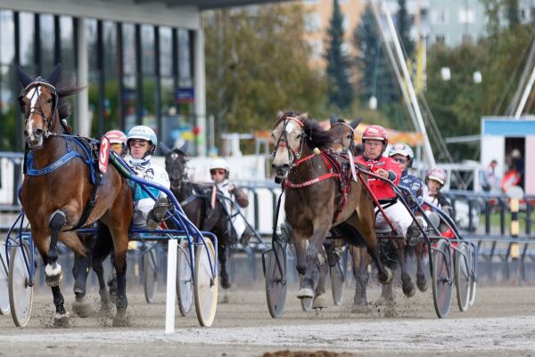 Dramatisk fall i travspillet
