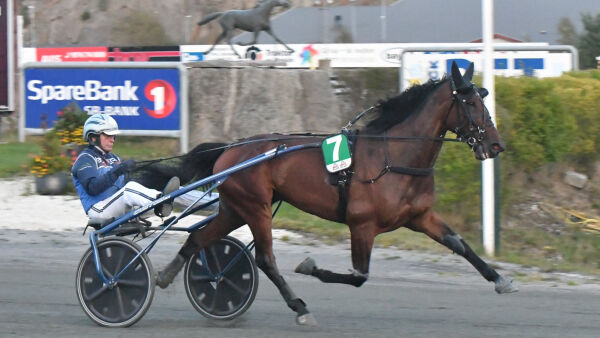Hamres vinnerhest til Finland