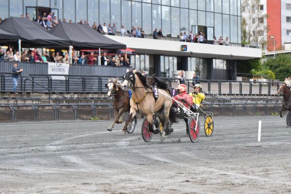 Suveren som vanlig