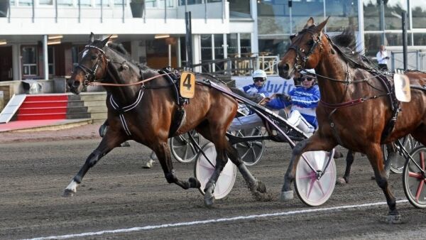 Elitehest fikk startforbud