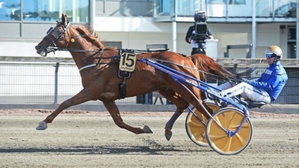 Elitloppshelgen i siktet