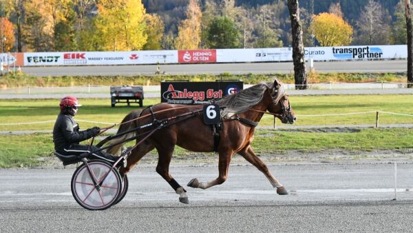 Toåring travet 1.33