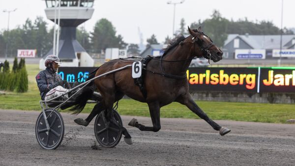 Flyttet stjerner fra Hamre