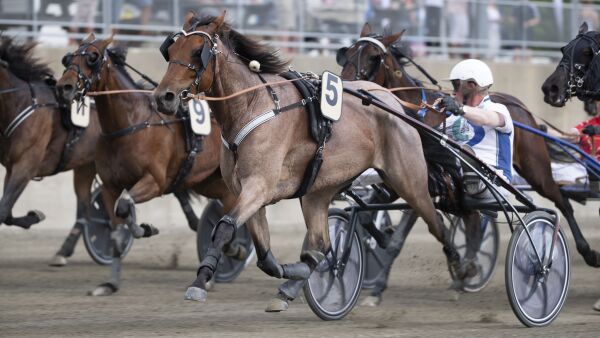 Startkatapulten fra start til mål