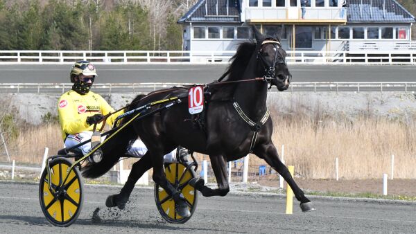 Topphoppe ut av tiden