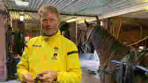 - Trapper ned i Norge