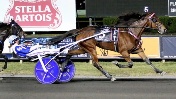 Breeders Crown-vinneren til Sverige