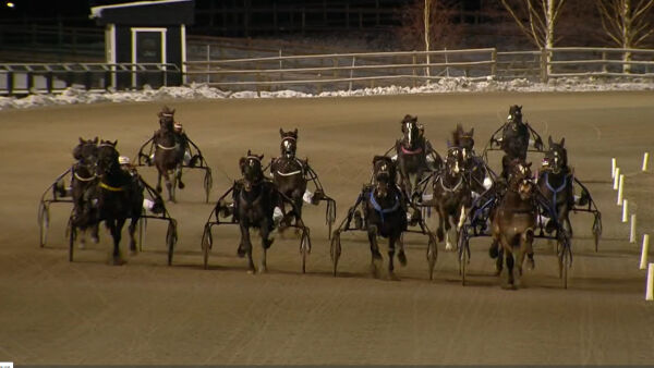 Kavaleren tross galopp