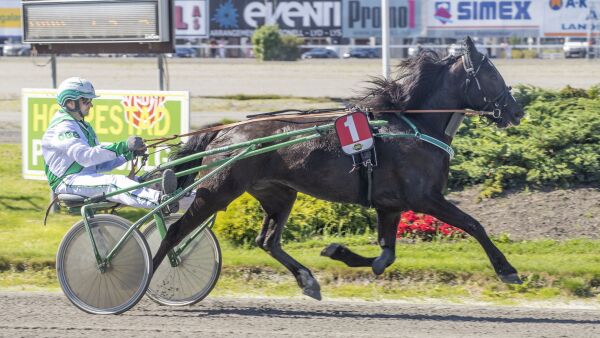 Du får tipsforslag til tre baner i dag