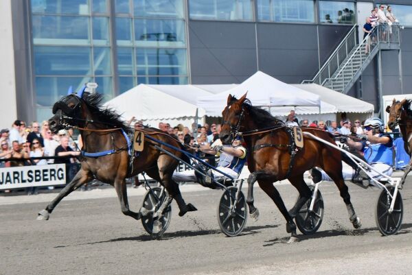 Passion Tile med fjerde strake