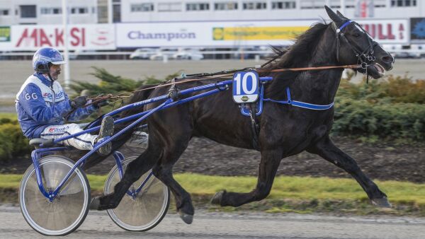 Jan Lauvvik har en hardhaus
