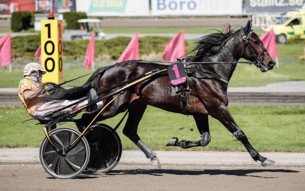Setter strek etter 41 millioner