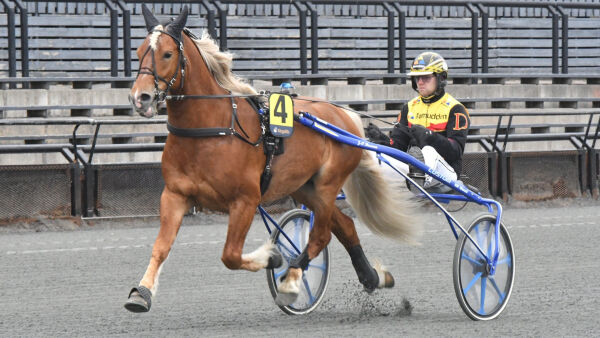 Skammer seg, nå er han best og flere startforbud