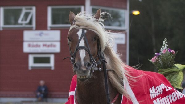 Millionæren har vandret videre