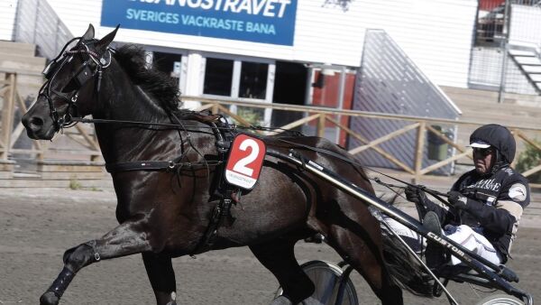 Disse er nye i Norge