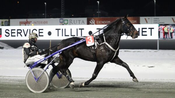 Startforbud, slo til hest og Etonnants første