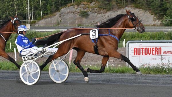 Avlivet etter bruddskade