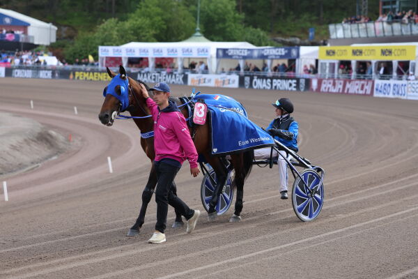 Sportrekning, aldri for gammel og utmerkelse