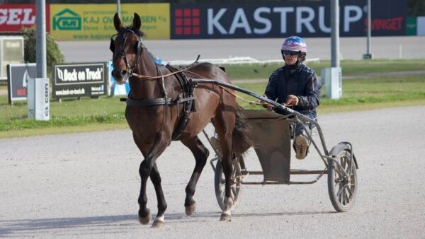 Han fikk snakkhesten