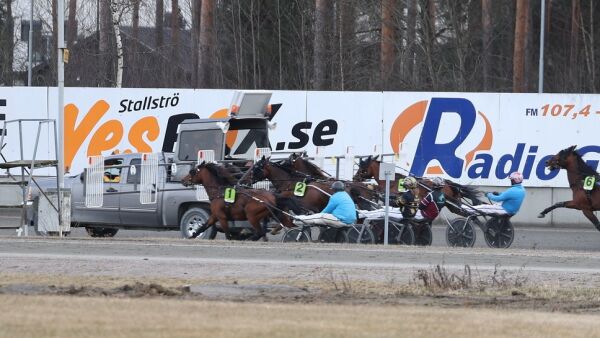 Rorgemoen frifunnet for stallkjøring