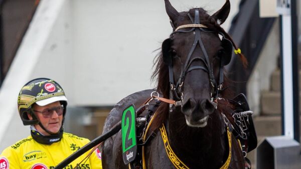 Ny oppgave for Derbyvinneren