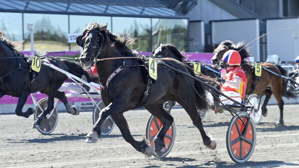 Odd Herakles legger opp