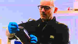 Her gjør tollerne en kjempebrøler