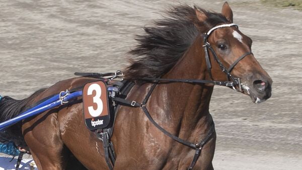 1.13,7 av  norsk toåring, banerekord og bøter