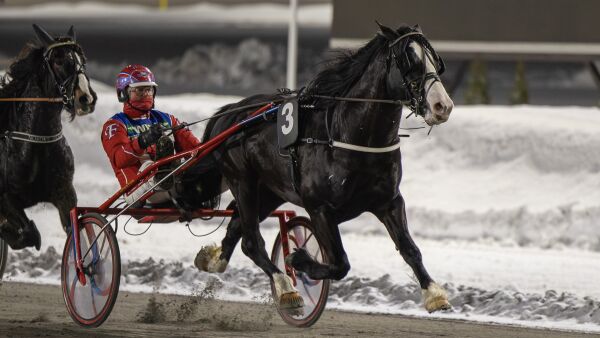 Hit skal den ferske V75-vinneren