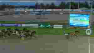 Global Bred To Win overlegen