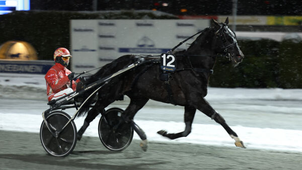 Satt på sidelinjen