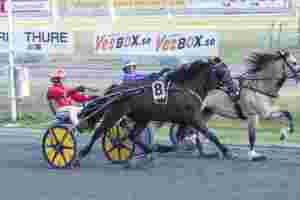 To strake for championen