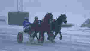 - Et sterkt løp med galopp