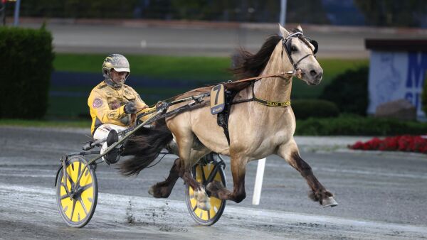 - Stiller han til disposisjon